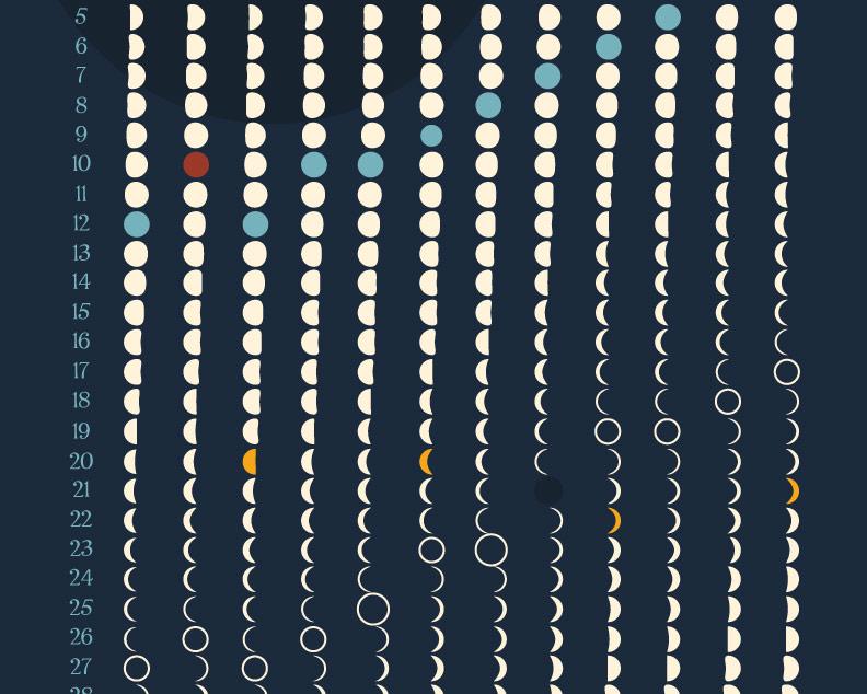 Vertical lunar calendar design